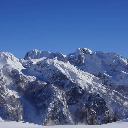 Alpenhof Wolayersee 3* Birnbaum