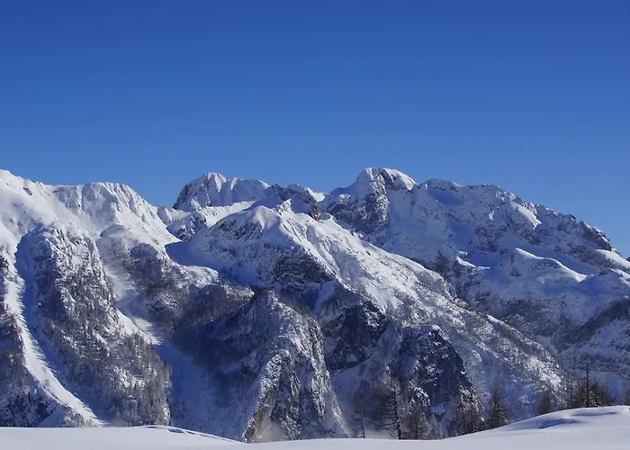 Alpenhof Wolayersee 3* 빈바움